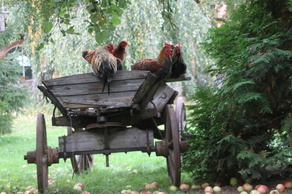 Willa Denderi Rubene Pokój zdjęcie